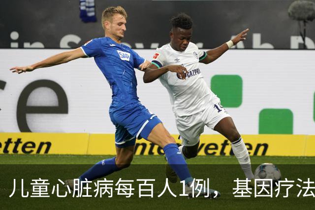 儿童心脏病每百人1例，基因疗法新突破