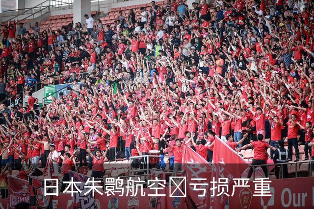 日本朱鹮航空‌亏损严重